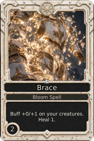 Brace